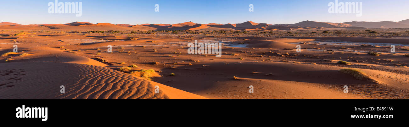 Vista panoramica delle dune di sabbia a Sossusvlei, Namibia Foto Stock