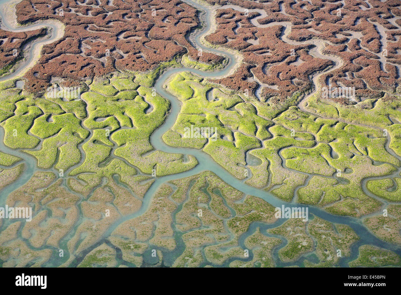 Vista aerea della Baia di Cadice delta, Puerto de Santa María, Cádiz, Spagna Foto Stock