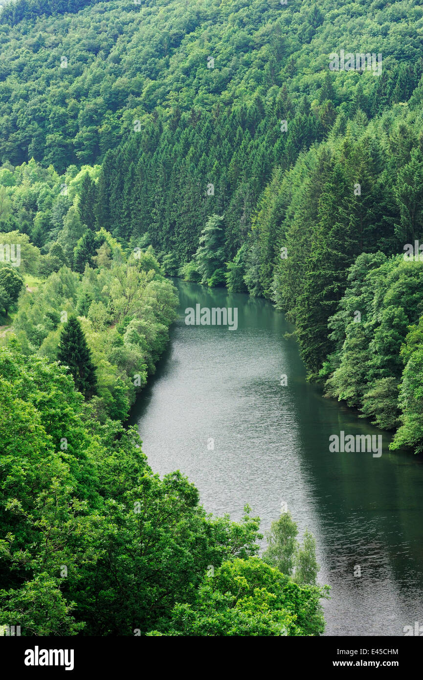 Vista da Esch-sur-Sûre diga del Fiume Sauer fluente attraverso una foresta, Oesling, Ardenne, Lussemburgo, Maggio 2009 Foto Stock
