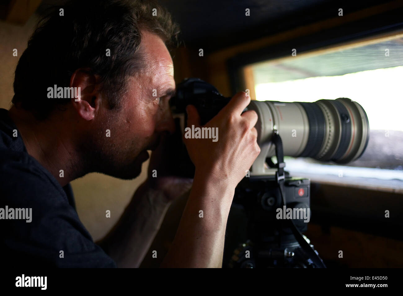 Markus Varesvuo, fotografo, in bird nascondere, Pusztaszer, Ungheria, Maggio 2008 Foto Stock