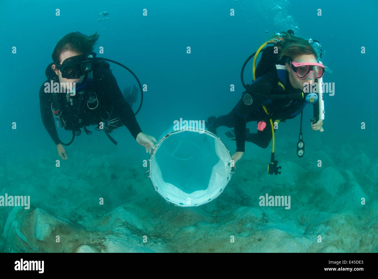 Jo Browne e Kade Mills utilizzare un cono cilindro di plancton net a campione dello zooplancton gelatinoso per Coral Reef censimento, Lizard Island, Queensland, Australia, Aprile 2008 Foto Stock