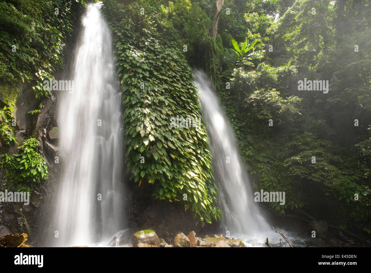 Itbog Twin Falls, 60ft alta, il lago Buhi, Camarines Sur, Luzon, Filippine 2008 Foto Stock