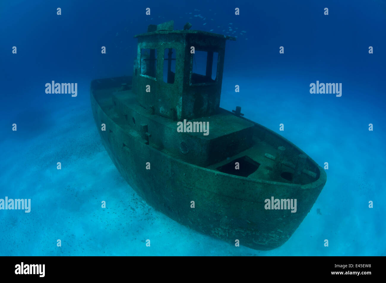 Relitto del rimorchiatore ''bottino blu'', a Nassau, Bahamas. Un anno dopo il naufragio. Luglio 2008. Foto Stock