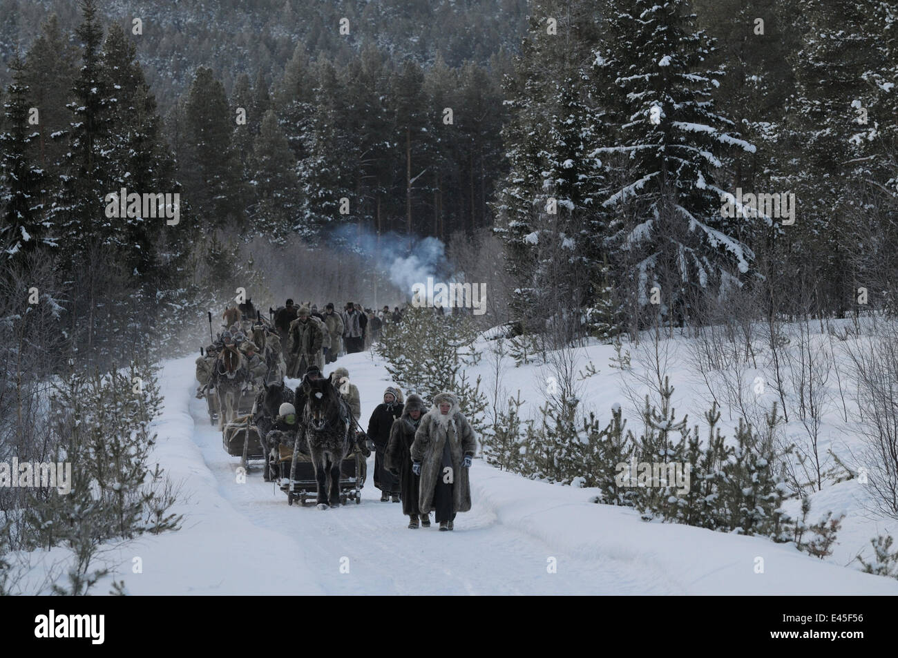 La gente camminare e viaggiare a cavallo e con la slitta al mercato Roros. Iniziato nel 1854, gli espositori e i fornitori provengono da una lunga strada OFF, -35 gradi centigradi, Dovrefjell National Park, Norvegia, febbraio 2009 Foto Stock