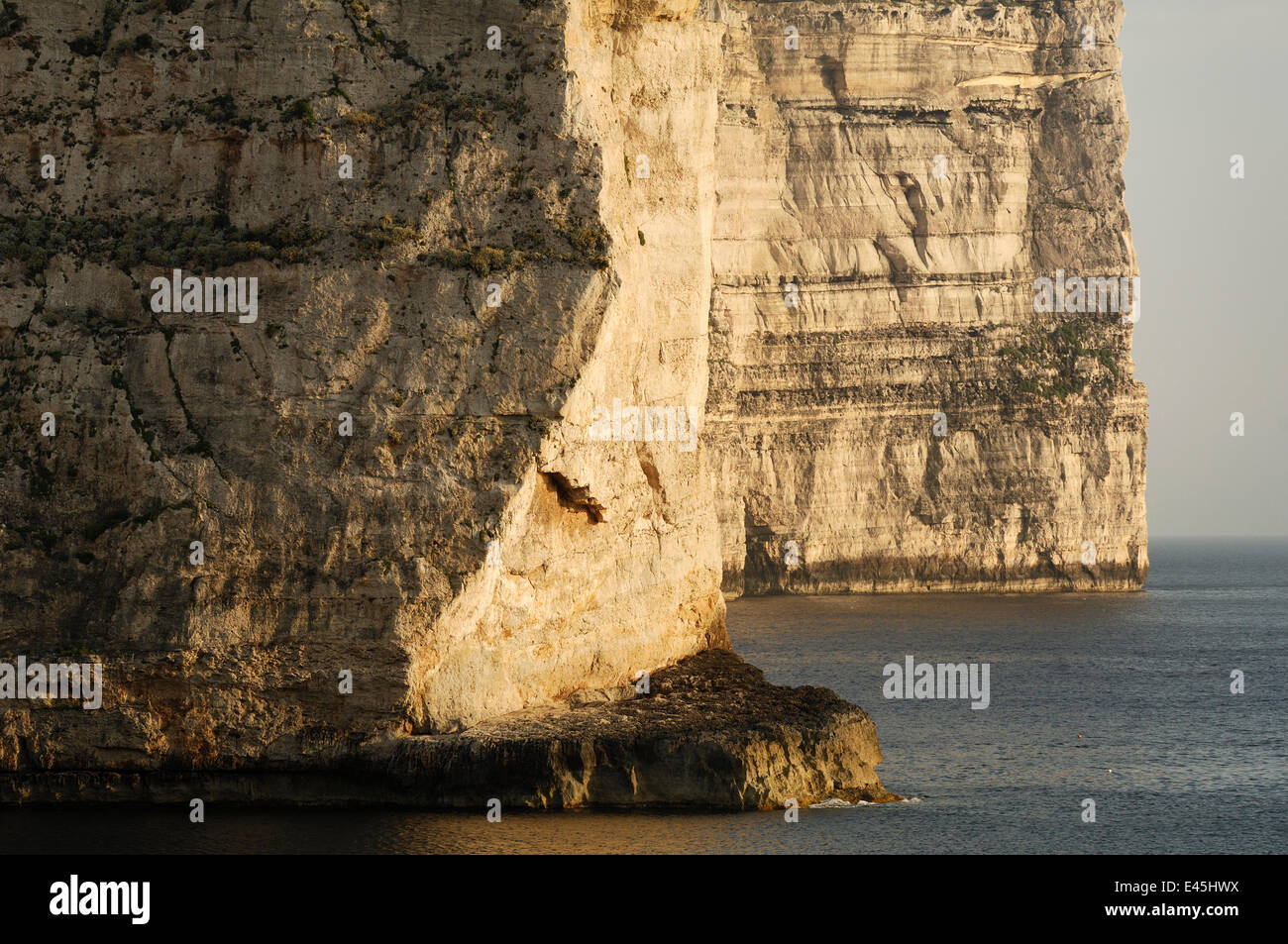 Scogliere sulla costa di Dwejra, Gozo, Malta, Maggio 2009 Foto Stock