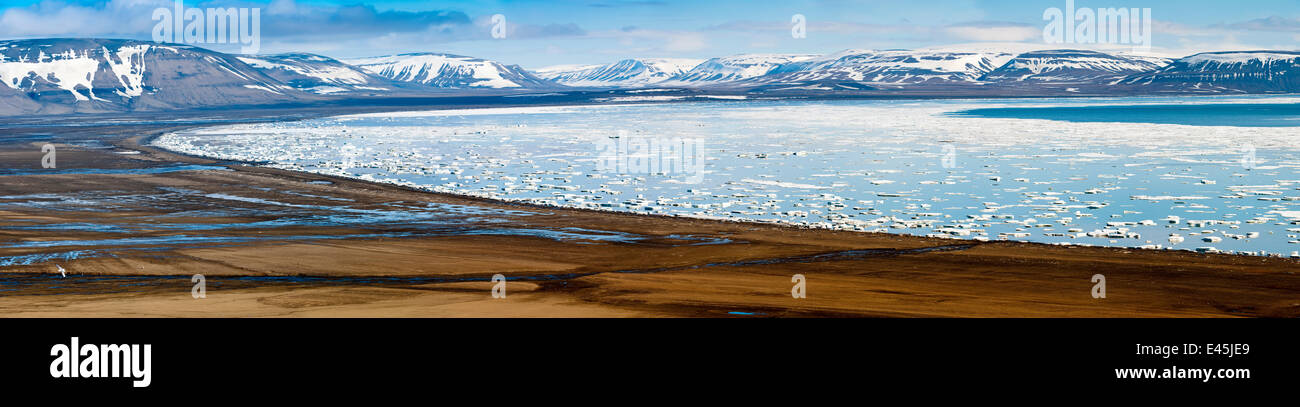 Scogliere sul mare, la costa e pack ghiaccio a Hambergbukta, sud est Spitsbergen, Svalbard artico, Norvegia, Giugno 2009 Foto Stock