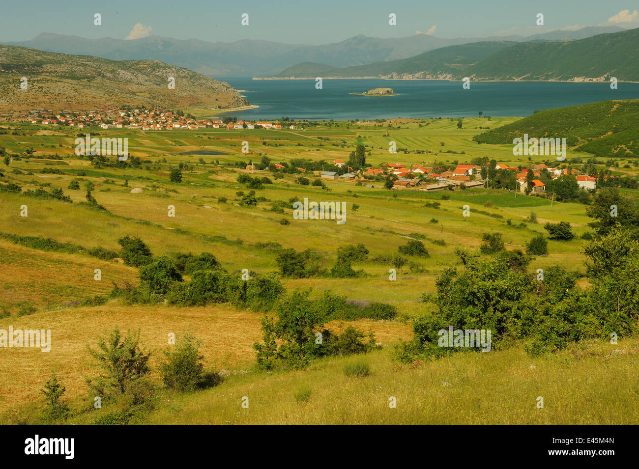 Vista del lago Prespa, lago Prespa National Park, Albania, Giugno 2009 Foto Stock