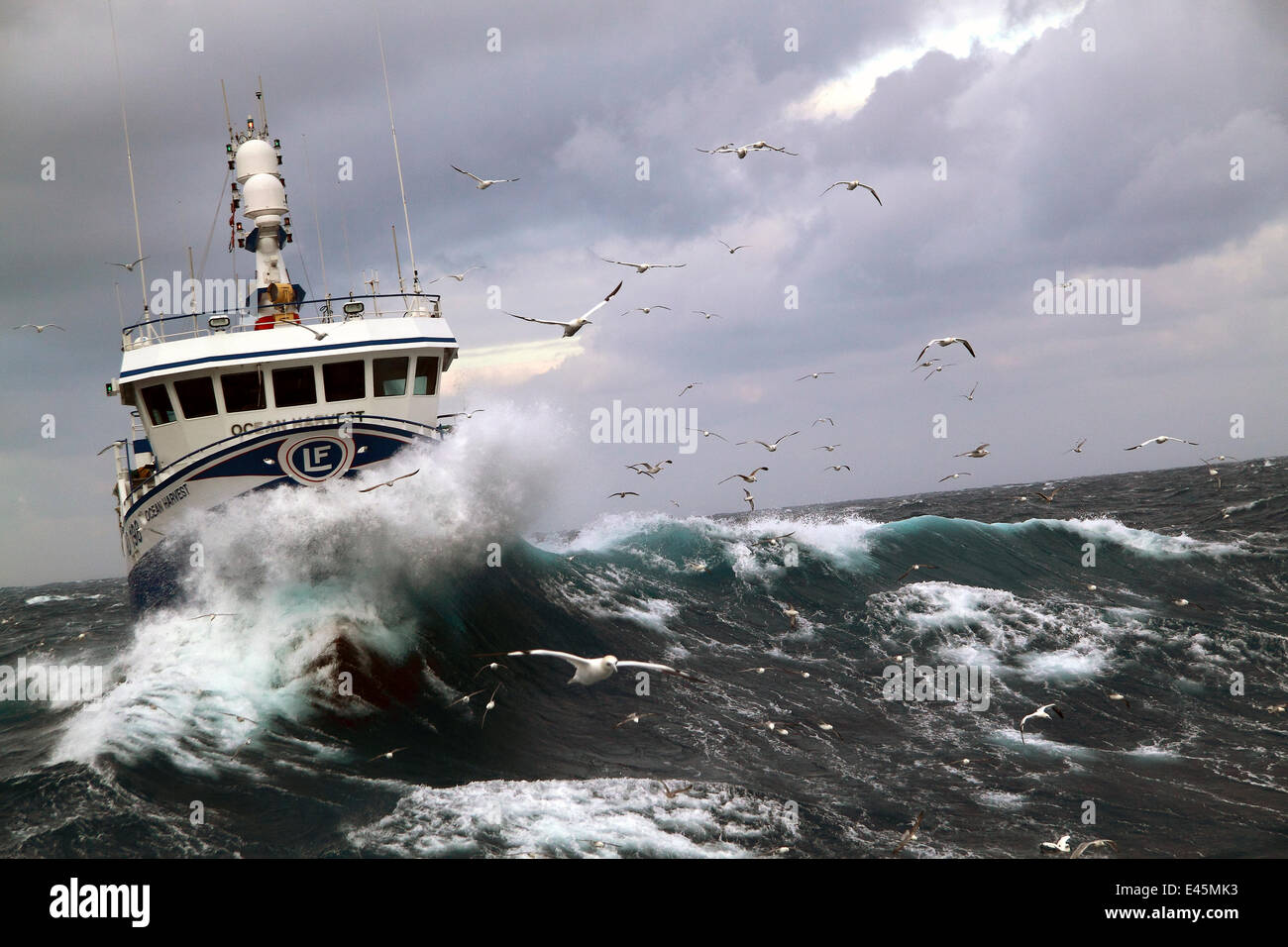 Rottura d'onda oltre la prua della nave da pesca 'Ocean Harvest' sul mare del Nord, Gennaio 2010. Foto Stock