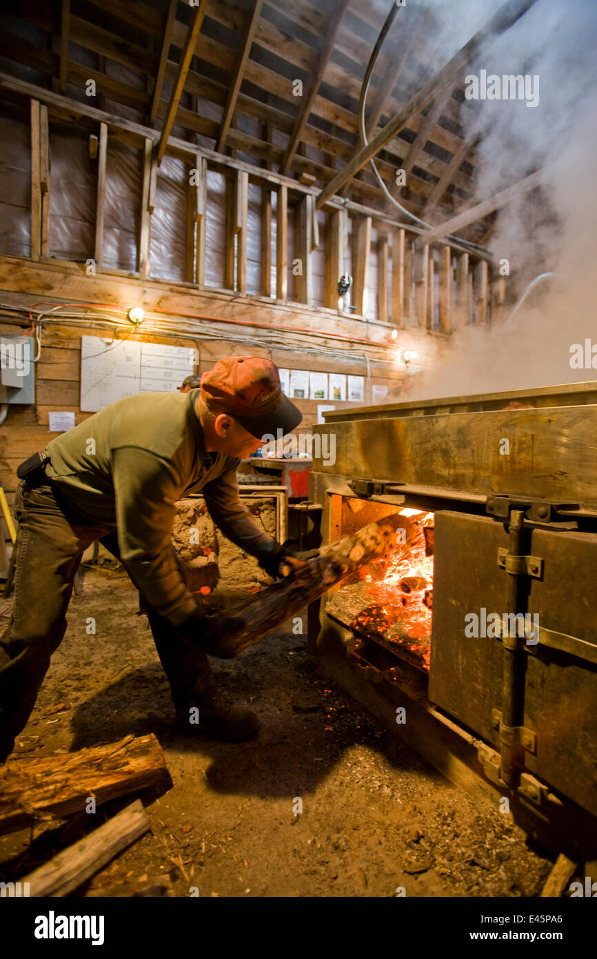 L'uomo addensarsi il fuoco nel sap evaporatore della casa di zucchero a Sugarbush Farm a Woodstock, Vermont, USA, aprile 2008. Foto Stock