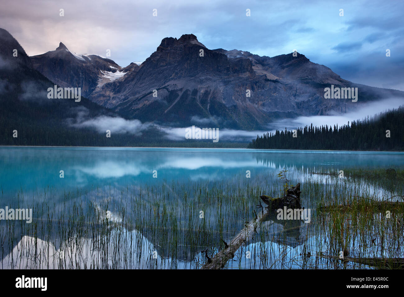 Il Lago di Smeraldo all'alba con i picchi del Presidente vanno ben oltre, Parco Nazionale di Yoho, British Columbia, Canada. Settembre 2009 Foto Stock