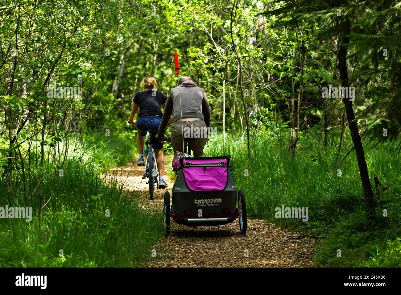 Biciclette sul percorso del paese nella foresta, Chiemgau, Alta Baviera, Germania, Europa. Foto Stock