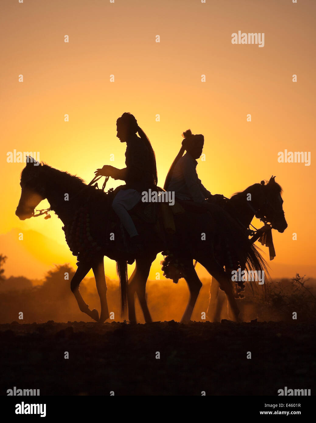 Silhouette di due tradizionalmente condita Indian riders, montato su Kathiawari mares, retroilluminato al tramonto, in Gujarat, India, gennaio 2011, Modello rilasciato Foto Stock