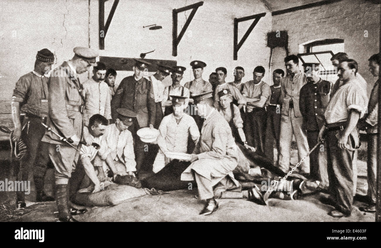 Un intervento su un cavallo in una speciale ospedale veterinario istituito dall'A.V.C. durante la prima guerra mondiale Foto Stock