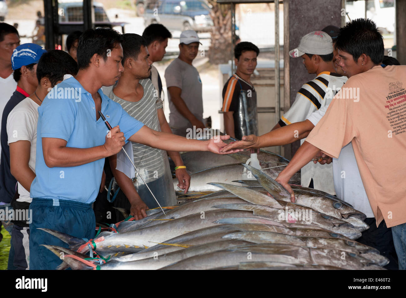 Tonno stabiliti nel sbarco del pesce e la zona di lavorazione del dock, Sarangani, Filippine, Aprile 2010 Foto Stock