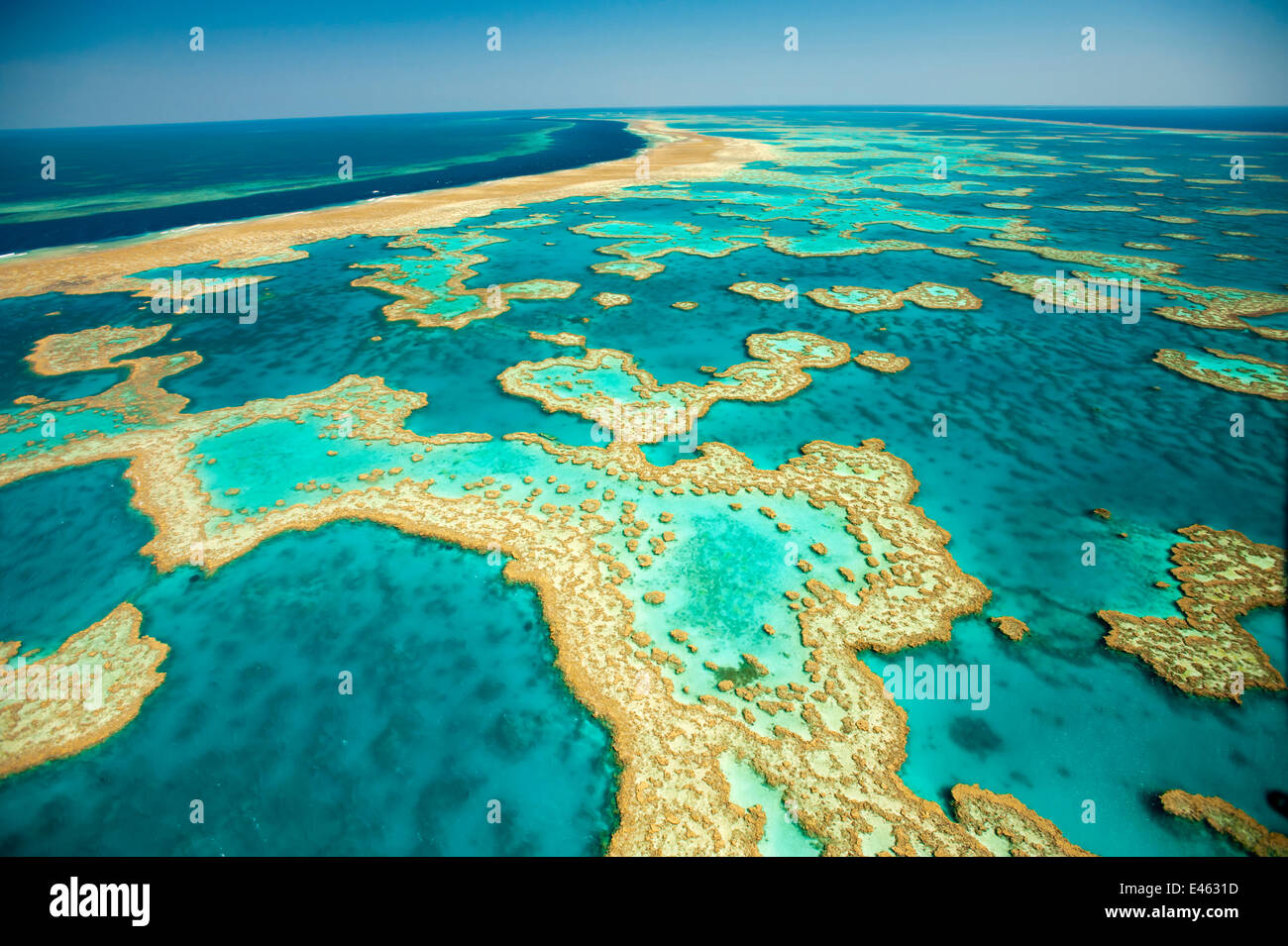 Isole Witsunday, vista aerea, Great Barrier Reef di corallo, Queensland, Australia, ottobre 2011. Foto Stock