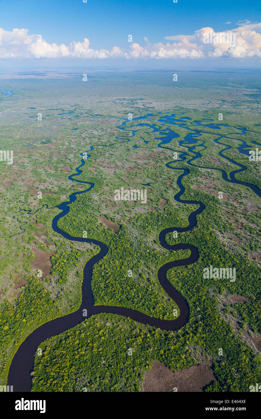 Veduta aerea subtropicale paludi di mangrovie del Parco nazionale delle Everglades. Florida, Stati Uniti d'America, febbraio 2012. Foto Stock