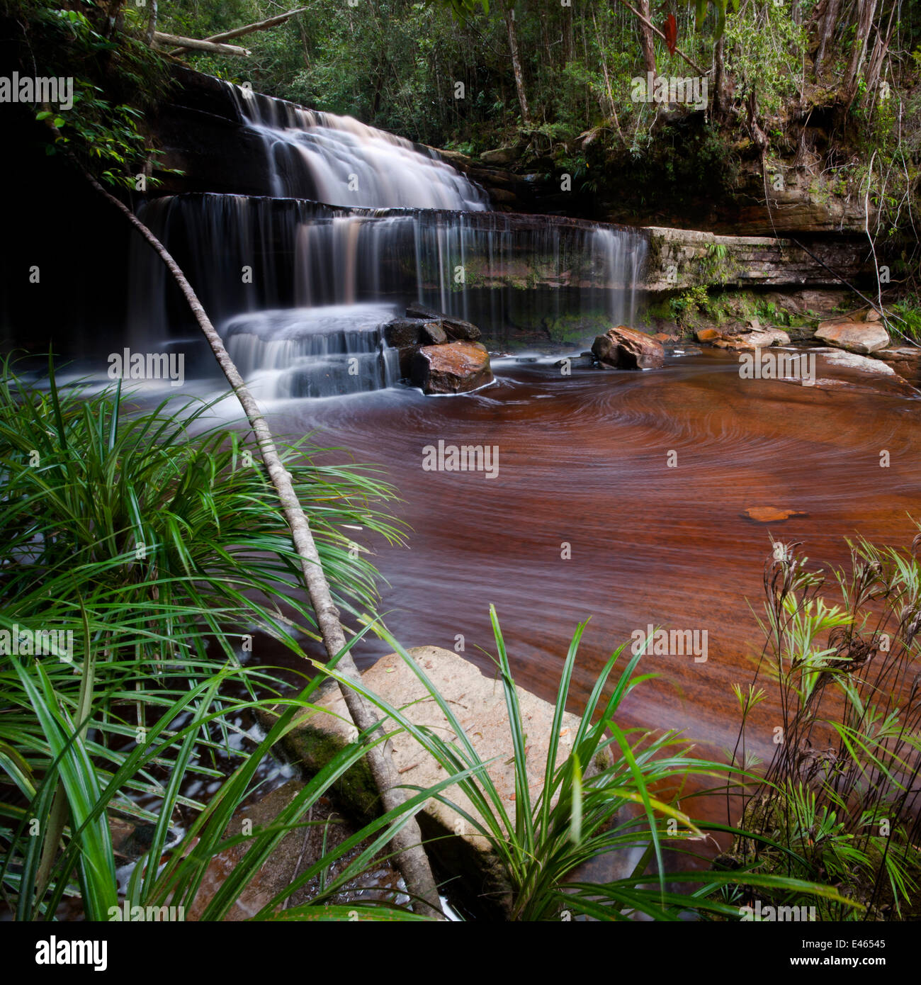 Gulik cade, il bordo del sud dell'altopiano, Maliau Basin, Sabah del " Mondo Perduto", Borneo (Digitally cucito immagine) Foto Stock