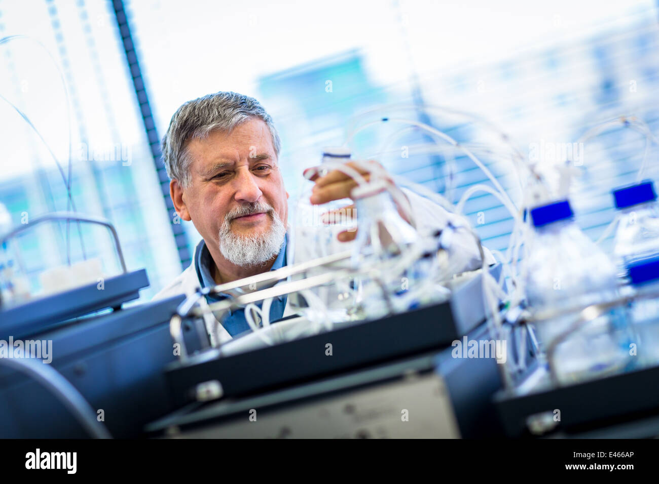 Maschio senior researcher di effettuare attività di ricerca scientifica in un laboratorio (SHALLOW DOF; dai toni di colore immagine) Foto Stock