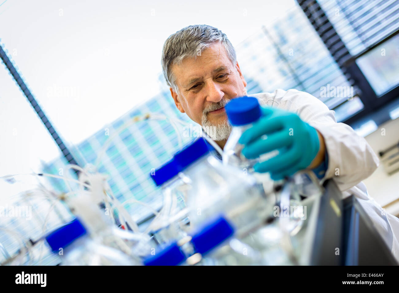 Maschio senior researcher di effettuare attività di ricerca scientifica in un laboratorio (SHALLOW DOF; dai toni di colore immagine) Foto Stock