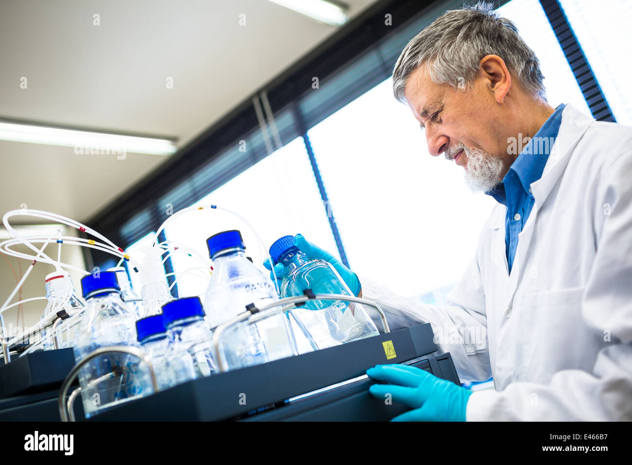 Maschio senior researcher di effettuare attività di ricerca scientifica in un laboratorio (SHALLOW DOF; dai toni di colore immagine) Foto Stock