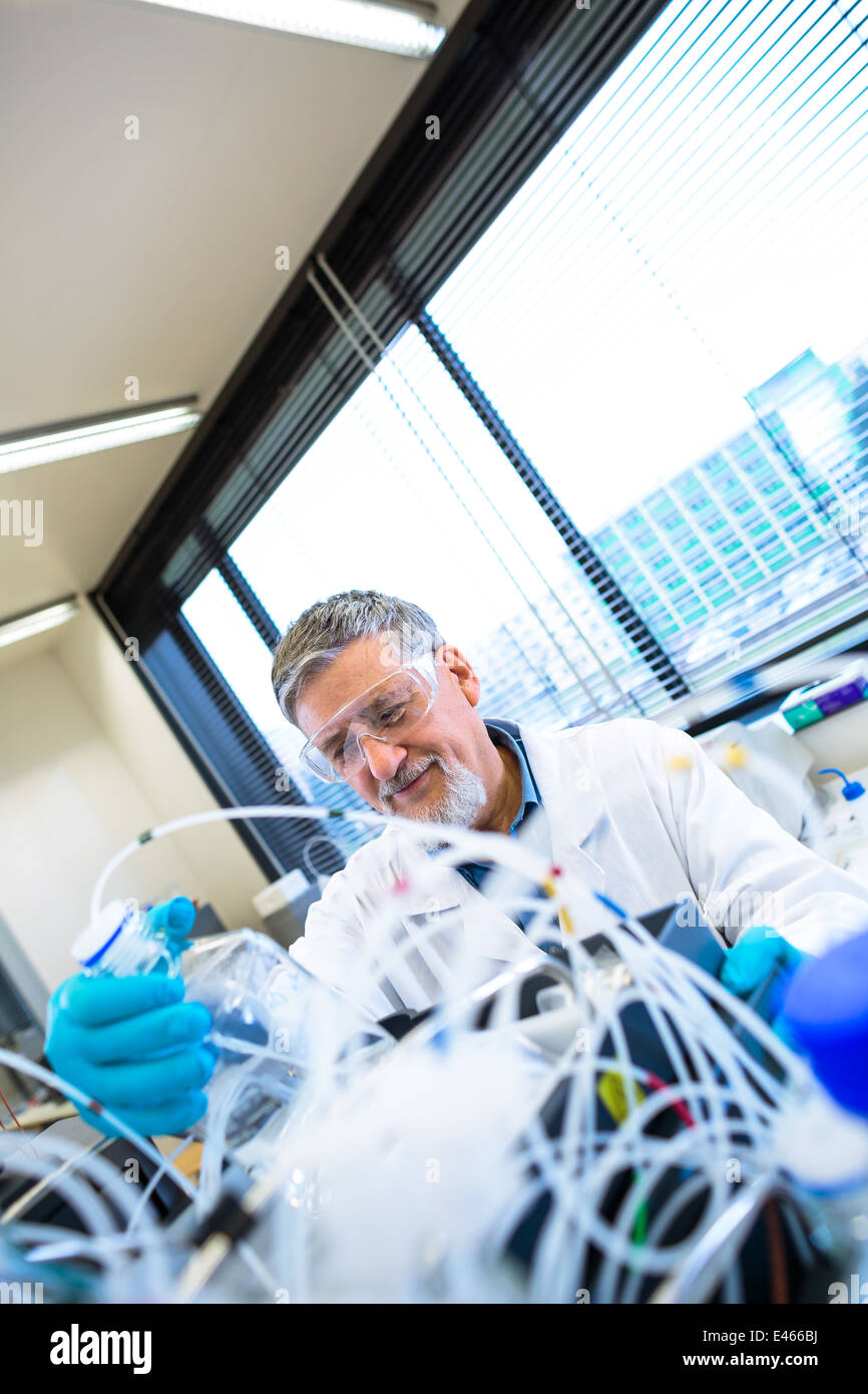 Maschio senior researcher di effettuare attività di ricerca scientifica in un laboratorio (SHALLOW DOF; dai toni di colore immagine) Foto Stock