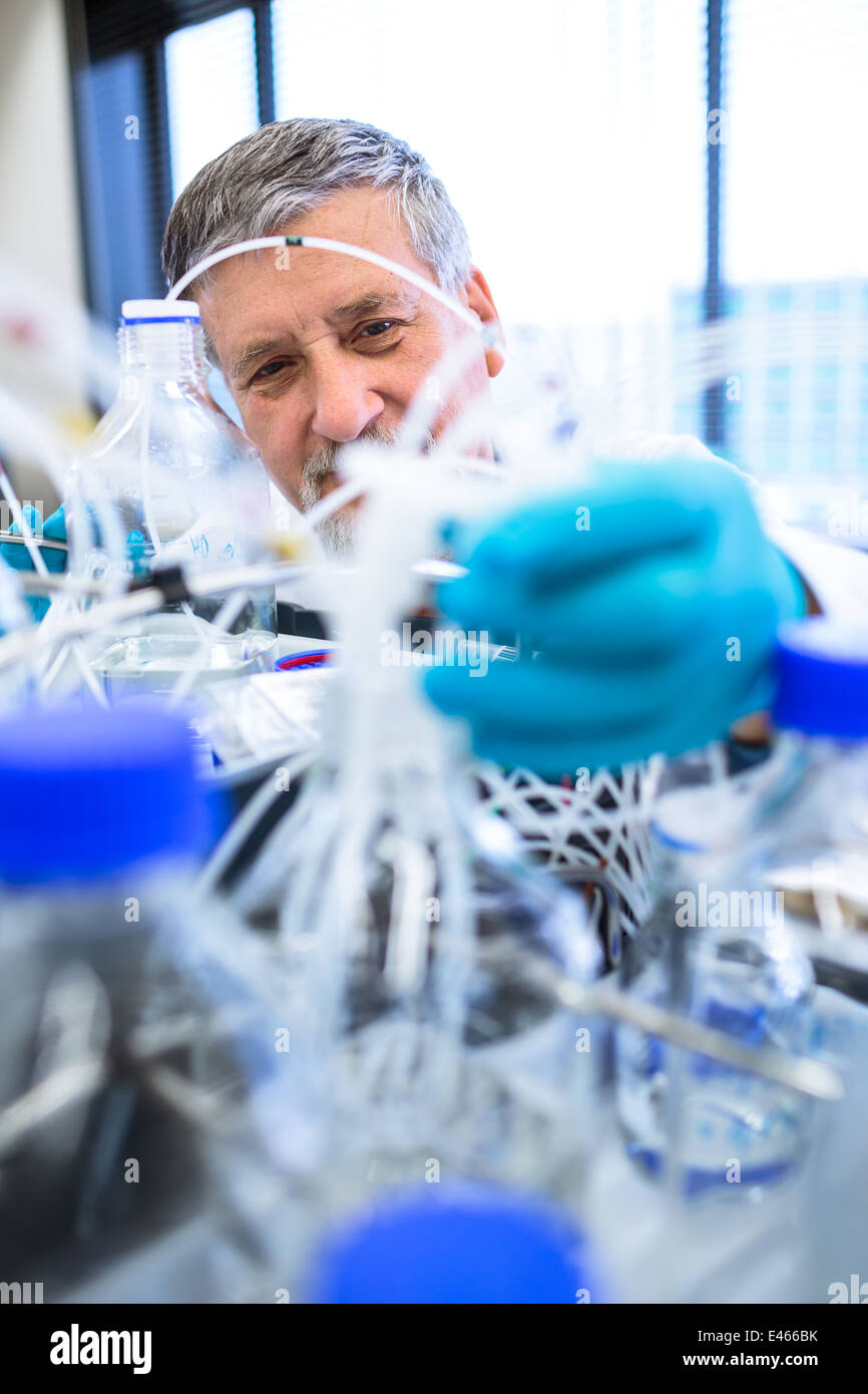 Maschio senior researcher di effettuare attività di ricerca scientifica in un laboratorio (SHALLOW DOF; dai toni di colore immagine) Foto Stock