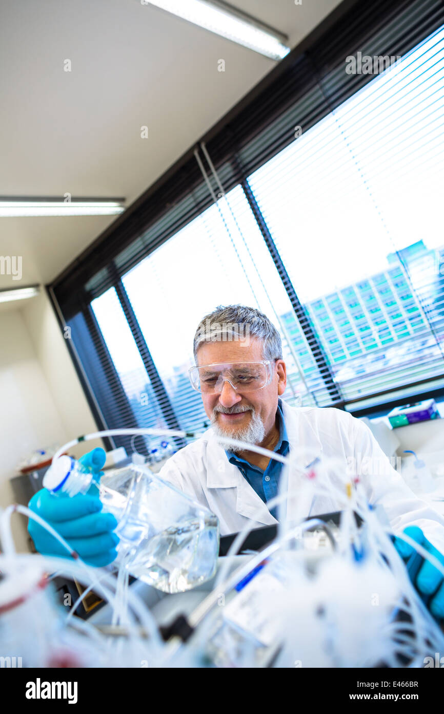Maschio senior researcher di effettuare attività di ricerca scientifica in un laboratorio (SHALLOW DOF; dai toni di colore immagine) Foto Stock