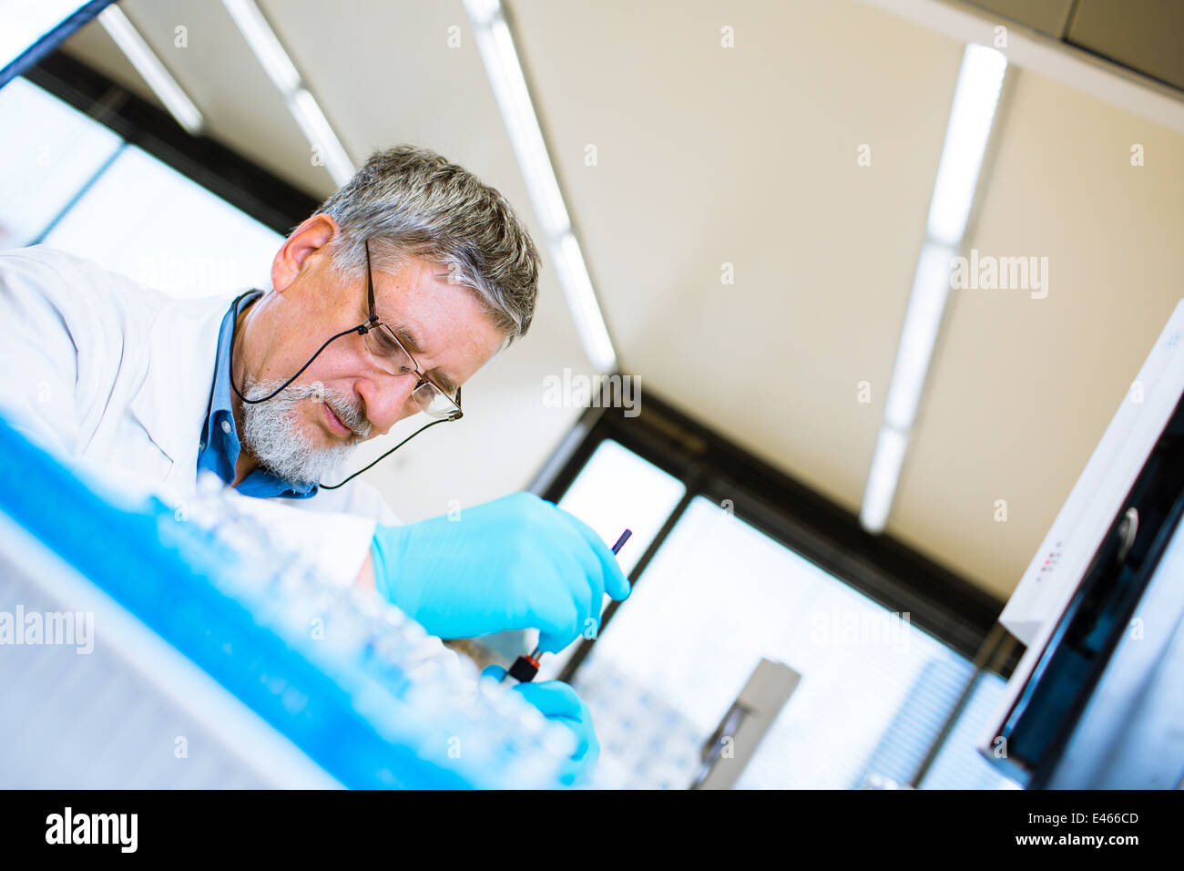 Maschio senior researcher di effettuare attività di ricerca scientifica in un laboratorio (SHALLOW DOF; dai toni di colore immagine) Foto Stock