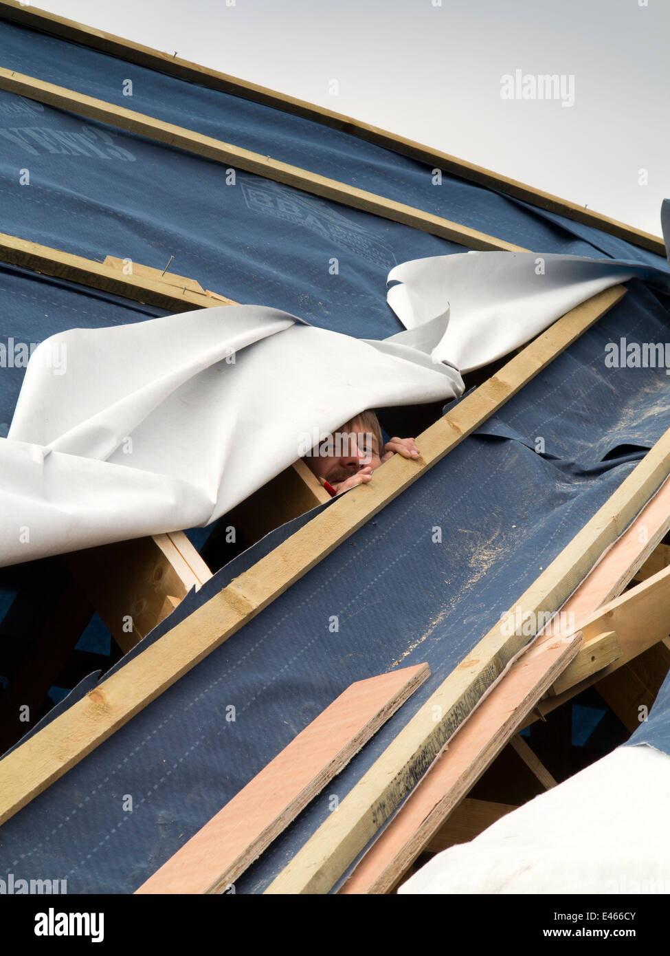 Auto casa Costruzione, costruzione tetto, uomo traspirante a fresare la membrana di copertura per adattarsi a valle in GRP Foto Stock