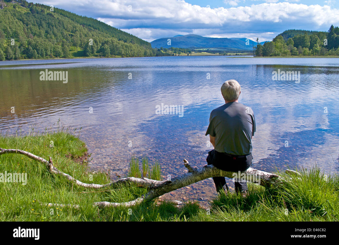 Vista posteriore della coppia uomo seduto sul log in corrispondenza del bordo del Loch Pityoulish guardando a vista, Cairngorms National Park, Scotland Regno Unito Foto Stock