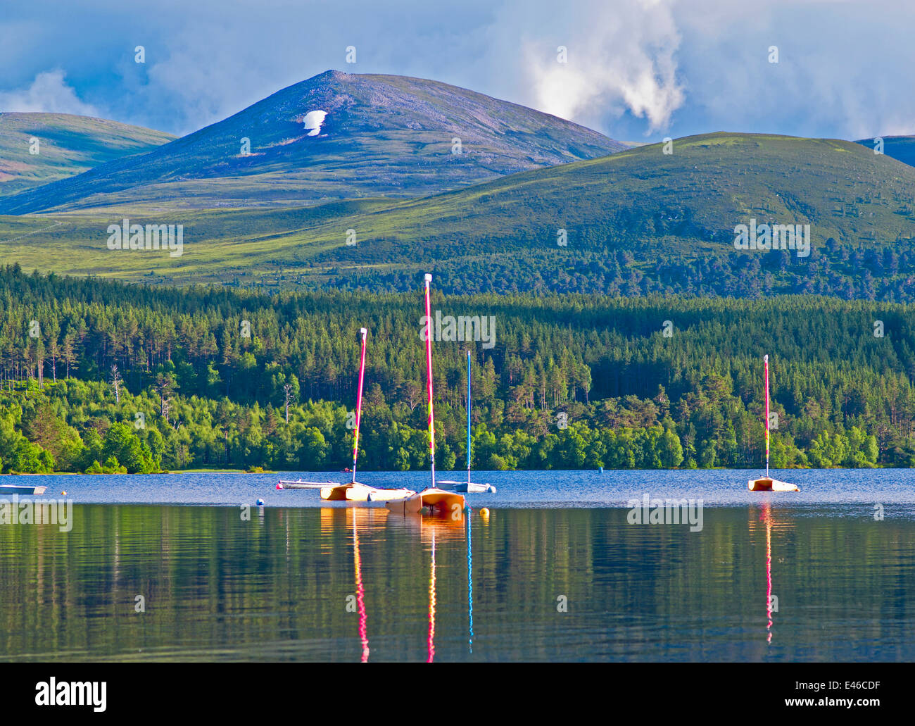 Piccole imbarcazioni ormeggiate su e riflessa in Loch Morlich, soleggiato serata estiva, vicino a Aviemore, Cairngorms National Park, Scotland Regno Unito Foto Stock