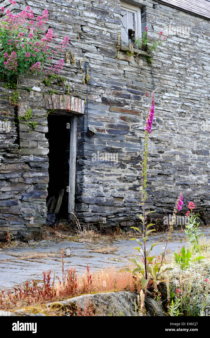 La vecchia porta e finestra in pietra costruito fattoria, Wales, Regno Unito Foto Stock