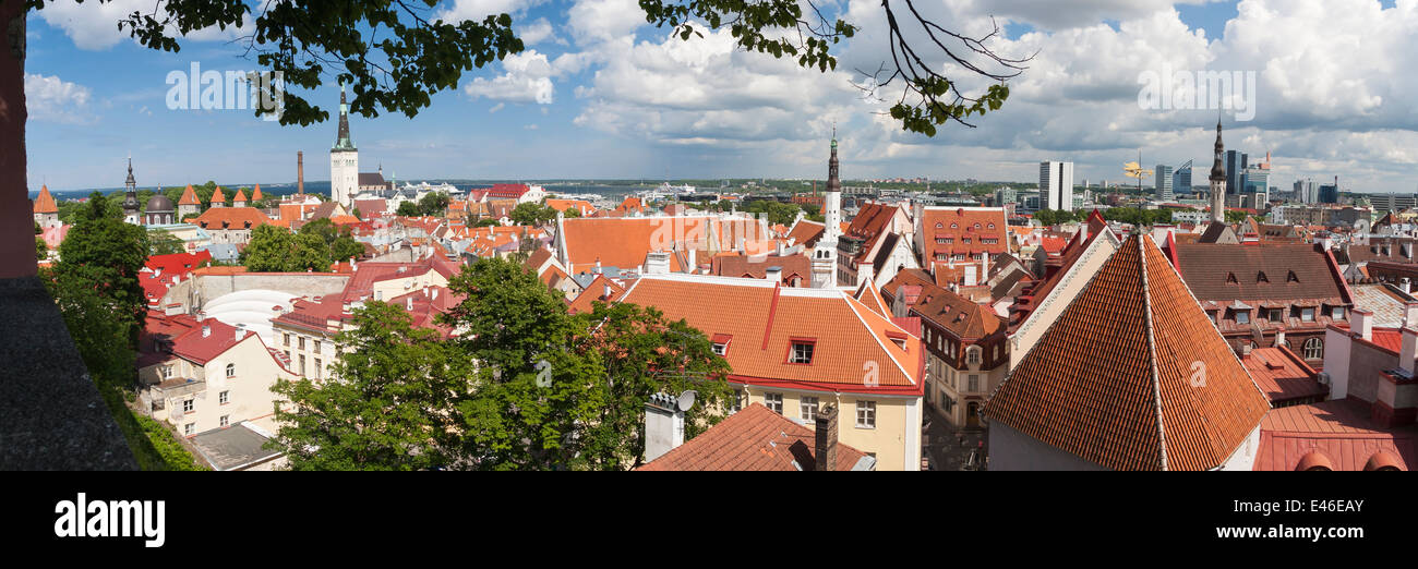 Panorama della città vecchia di Tallinn, Estonia Foto Stock