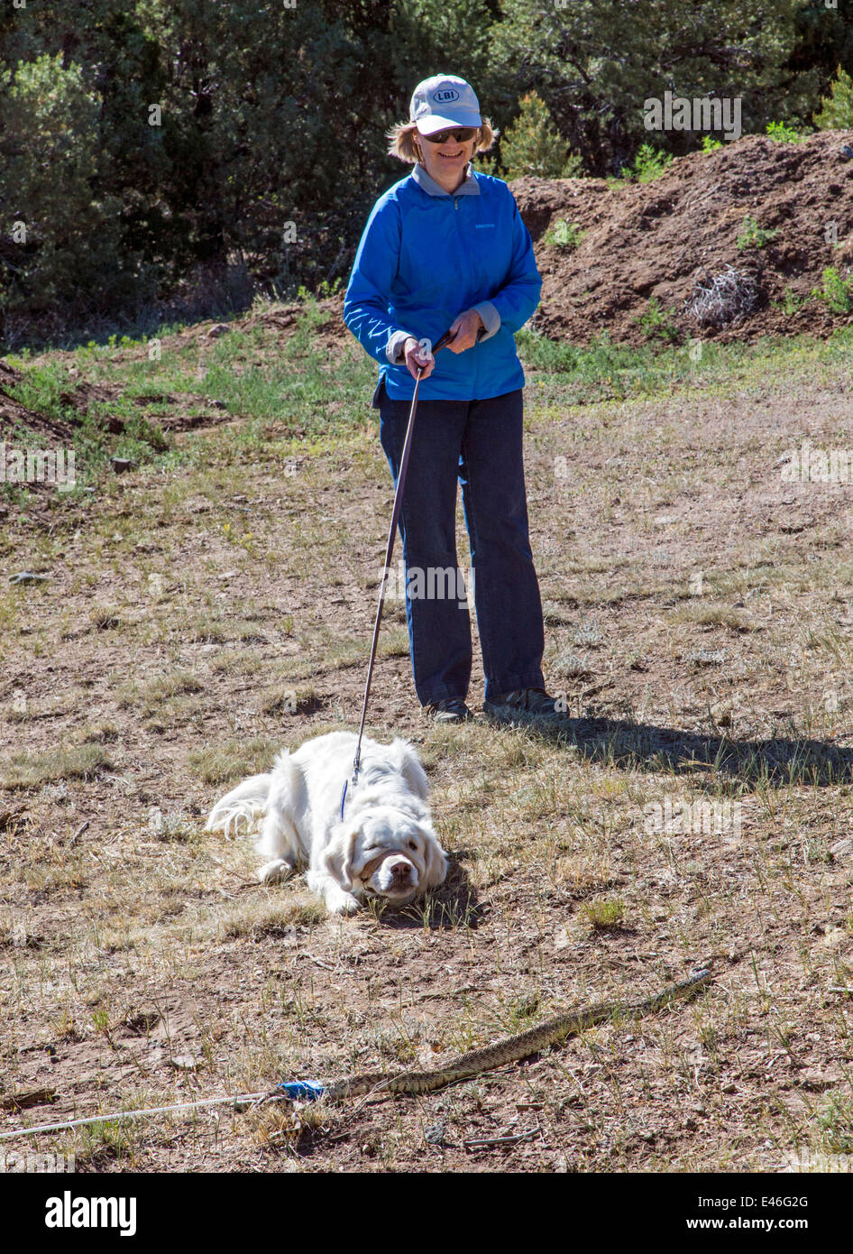 Proprietario femmina con color platino Golden Retriever cane in evasione di serpente workshop. Foto Stock