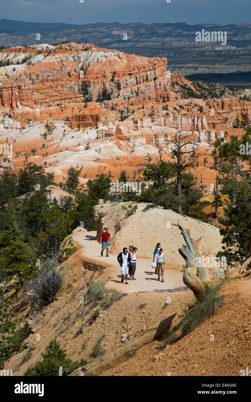 Tropico, Utah - escursionisti sul Queens Garden Trail nel Parco Nazionale di Bryce Canyon. Foto Stock