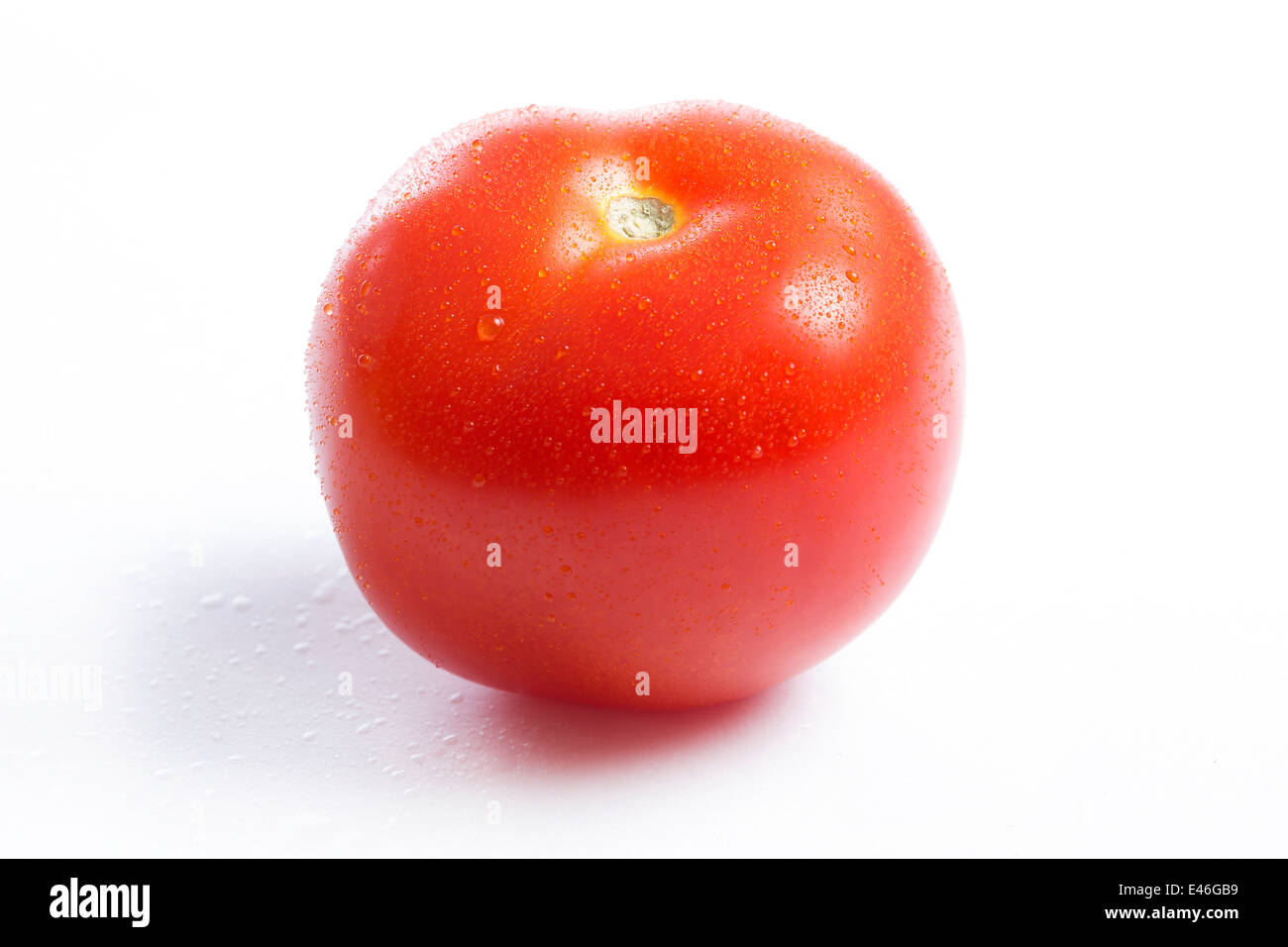 Un unico rosso e pomodoro maturo su sfondo bianco Foto Stock