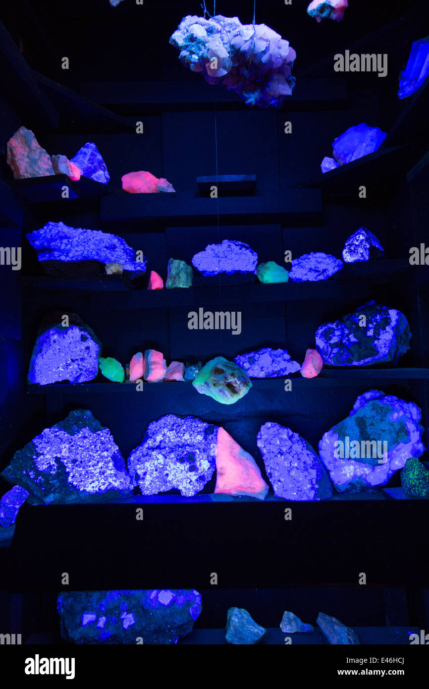 Minerali fluorescenti incandescente in luce ultra violetta al Threlkeld mining museum, Lake District, UK. Foto Stock