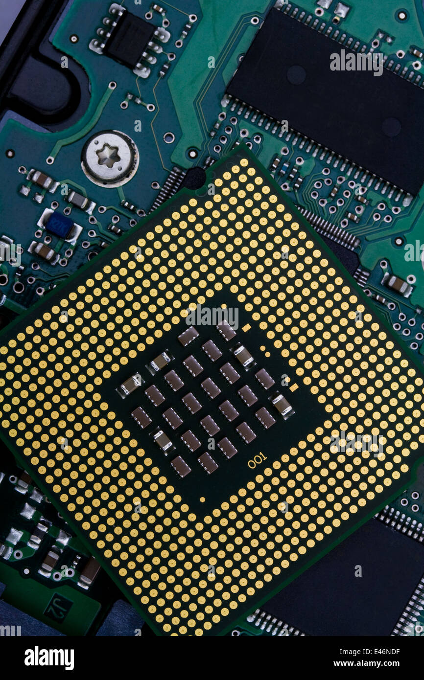 Contatti in oro su computer moderno processore - Primo Piano Foto Stock