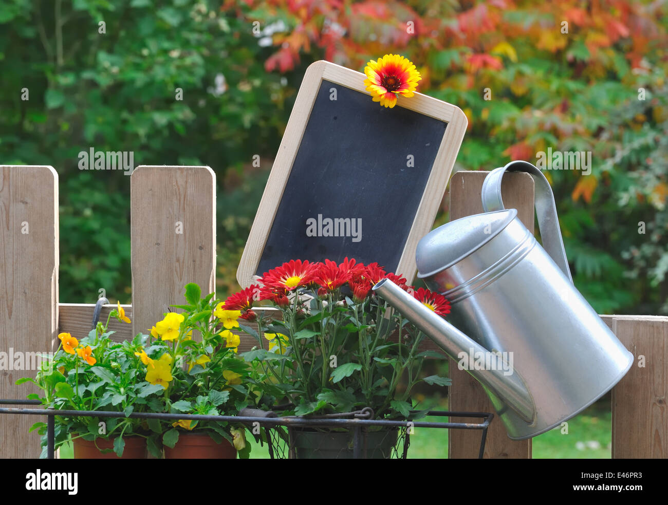 L'ardesia appeso su un recinto giardino di fiori Foto Stock
