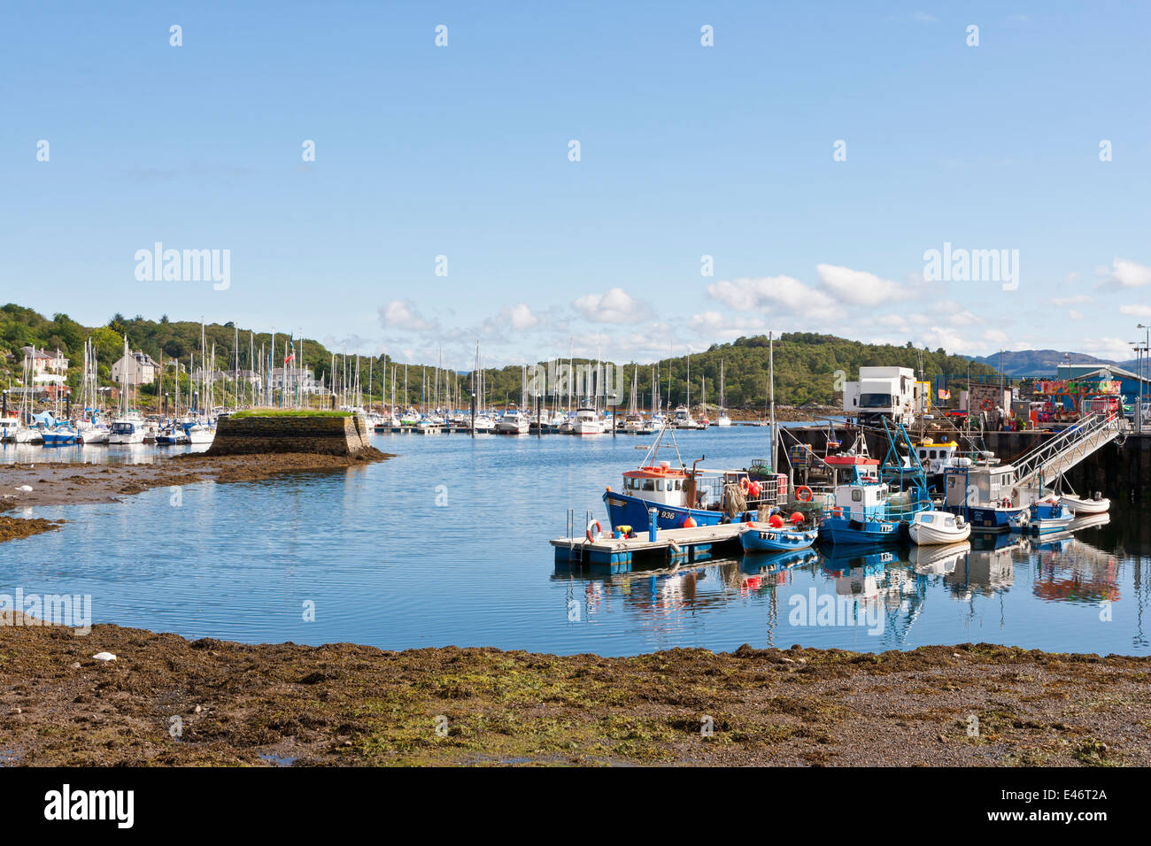 Tarbert Harbour su Loch Fyne in Argyll and Bute;Scozia Foto Stock