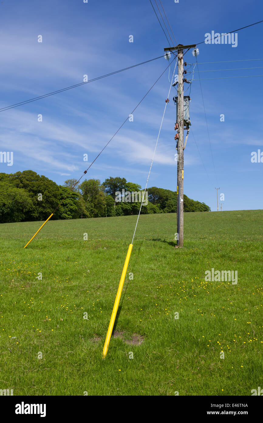 Palo del telegrafo in un campo Foto Stock