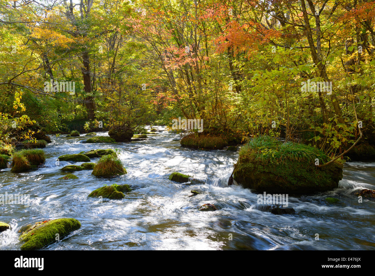 Autunno Oirase Gorge a Aomori, Giappone Foto Stock