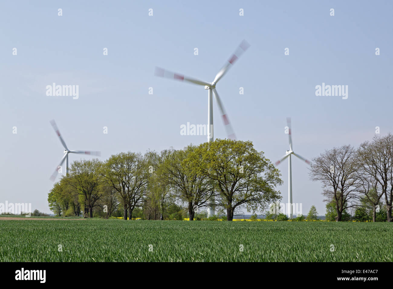 Centrali eoliche dietro gli alberi, Bassa Sassonia, Germania Foto Stock