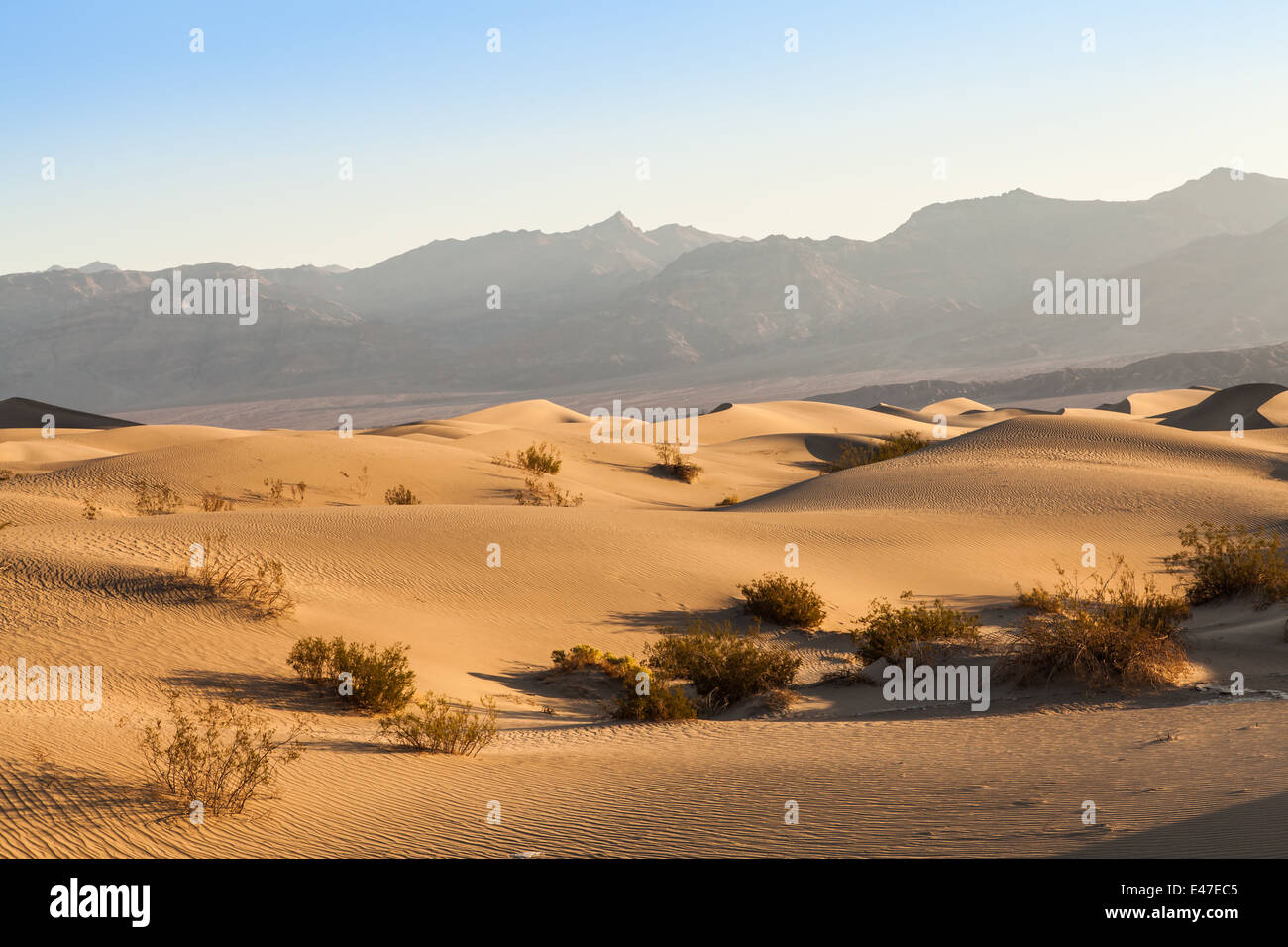 Le dune di sabbia di Mesquite piatto nella Valle della Morte nel deserto - California Foto Stock