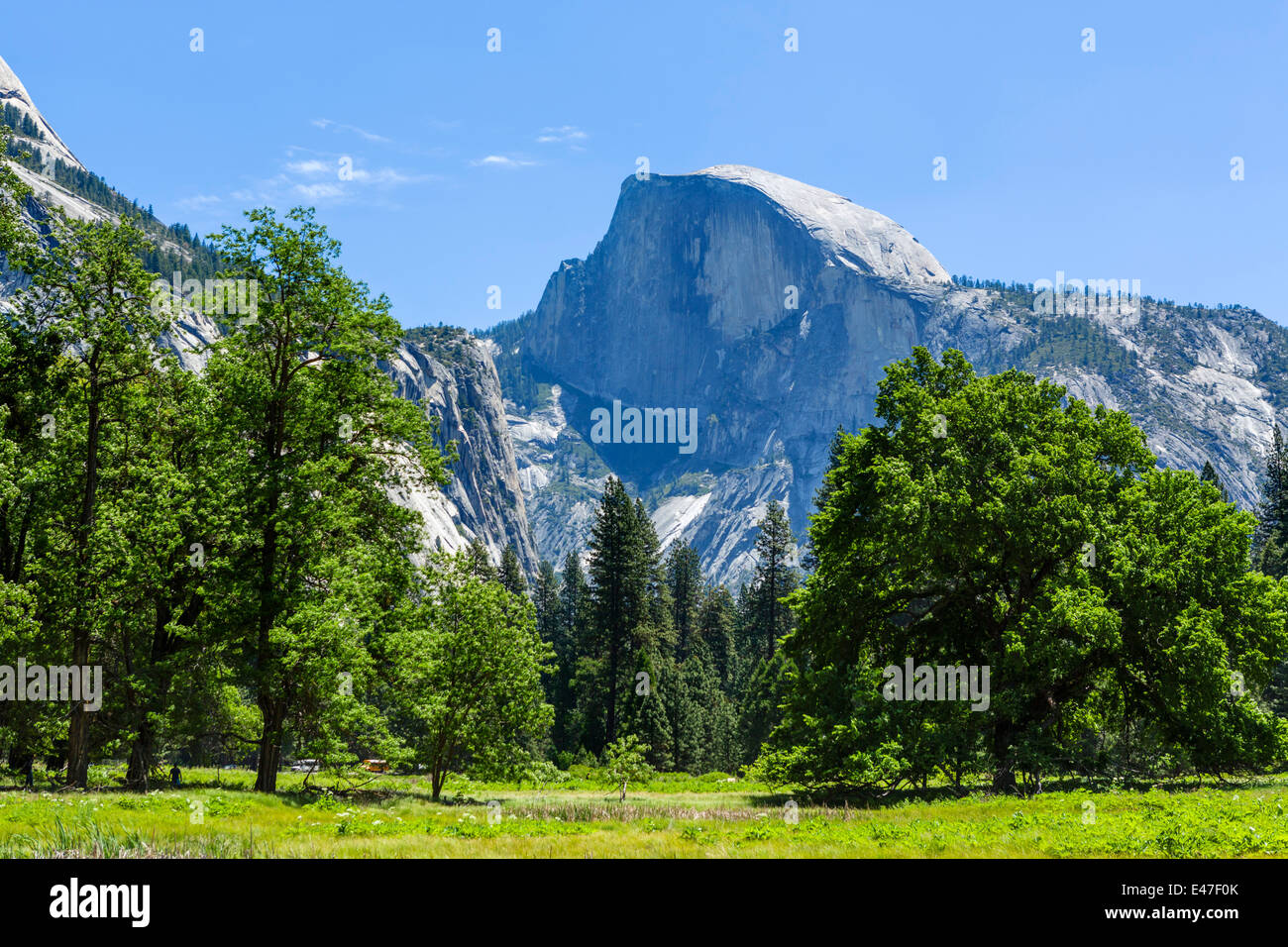 Half Dome, Yosemite Valley, del Parco Nazionale Yosemite, Sierra Nevada, a nord della California, Stati Uniti d'America Foto Stock