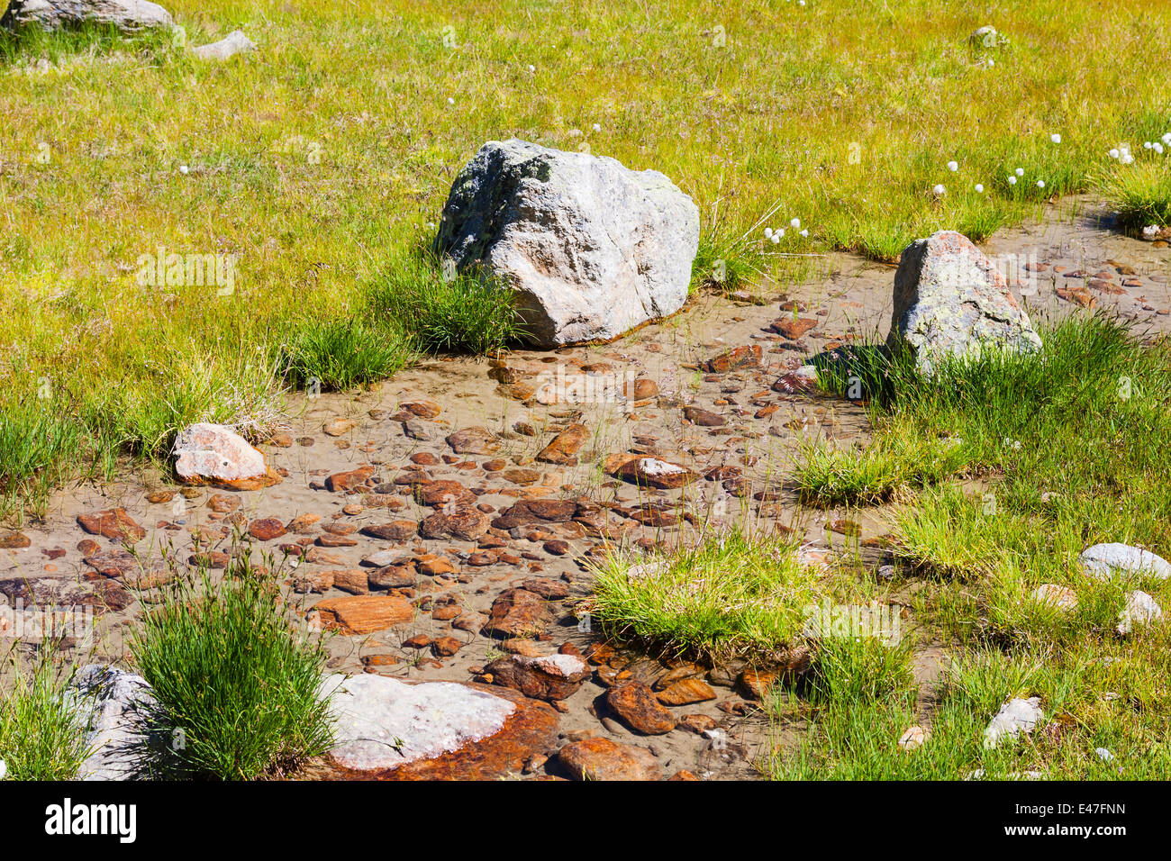 Un po' di corrente che fluisce attraverso l'erba e pietre a Rifflsee in Pitztal, Austria Foto Stock