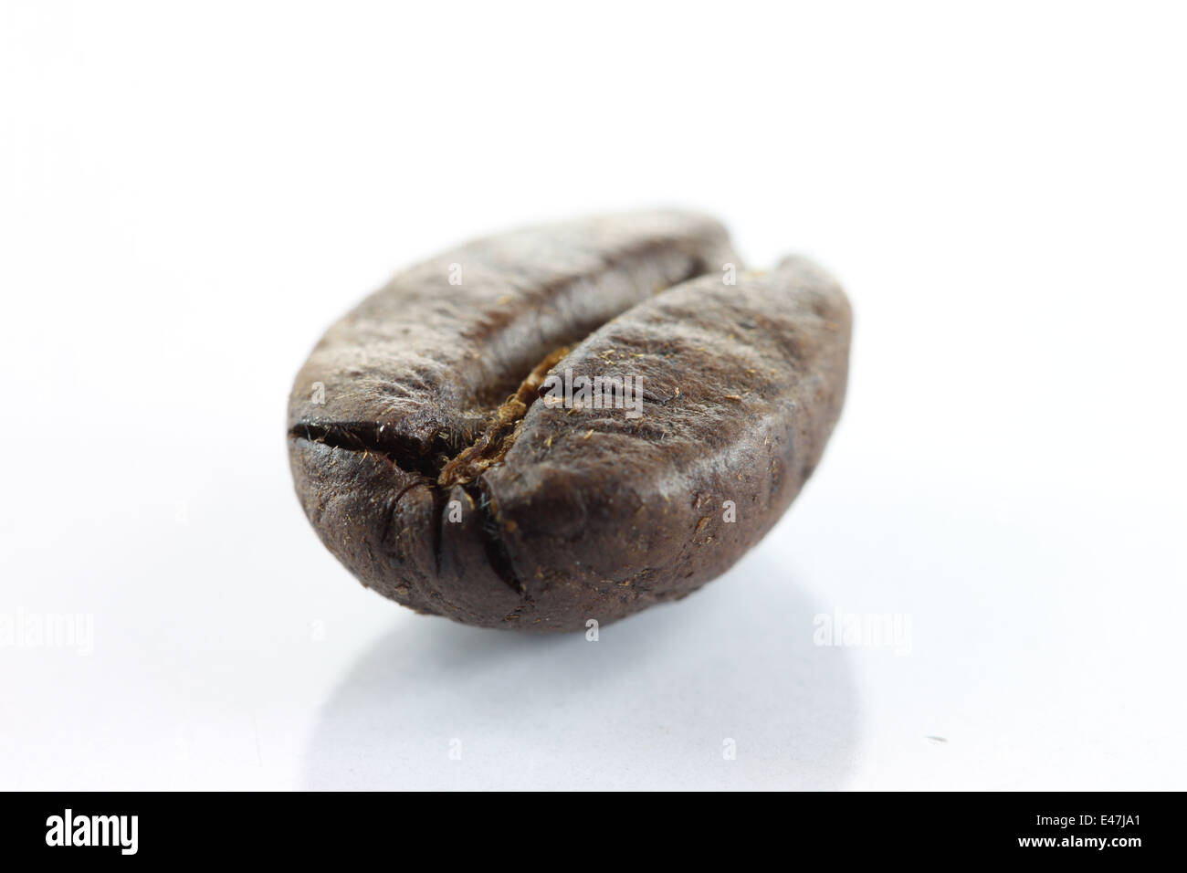 Rosolare i chicchi di caffè su sfondo bianco. Foto Stock