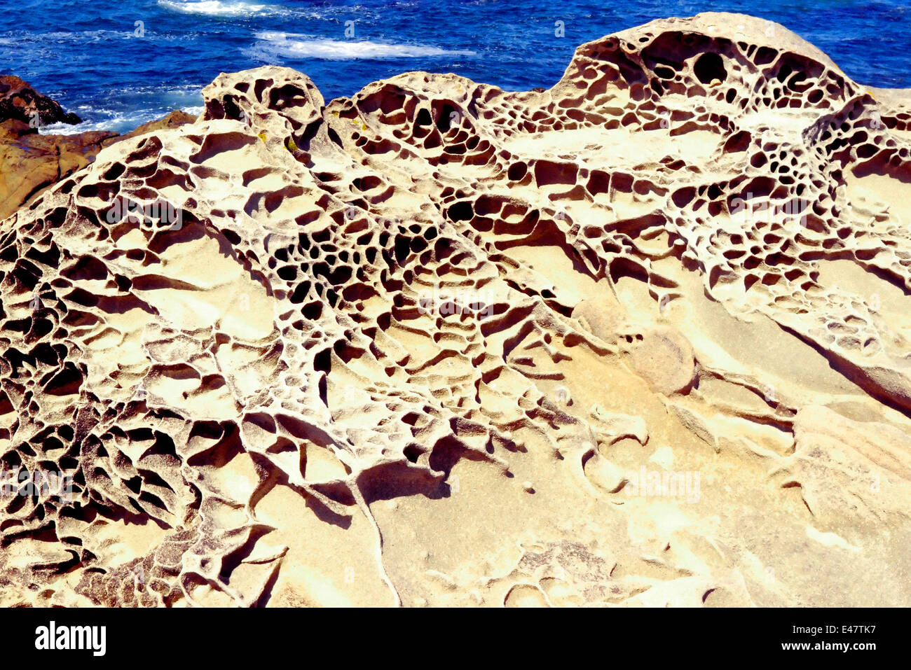Pietra arenaria esempio di erosione a Salt Point State Park, Sonoma California Coast noto come 'tafoni' Foto Stock