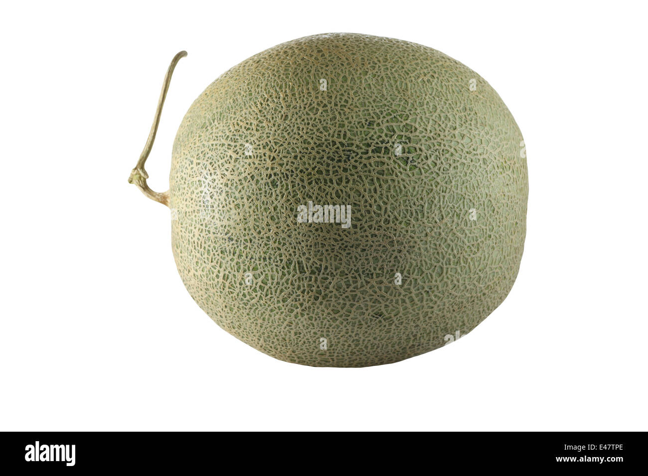 Il melone Cantalupo frutto di isolati su sfondo bianco. Foto Stock