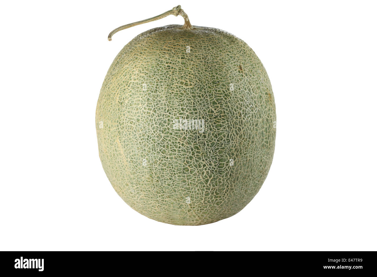 Il melone Cantalupo frutto di isolati su sfondo bianco. Foto Stock